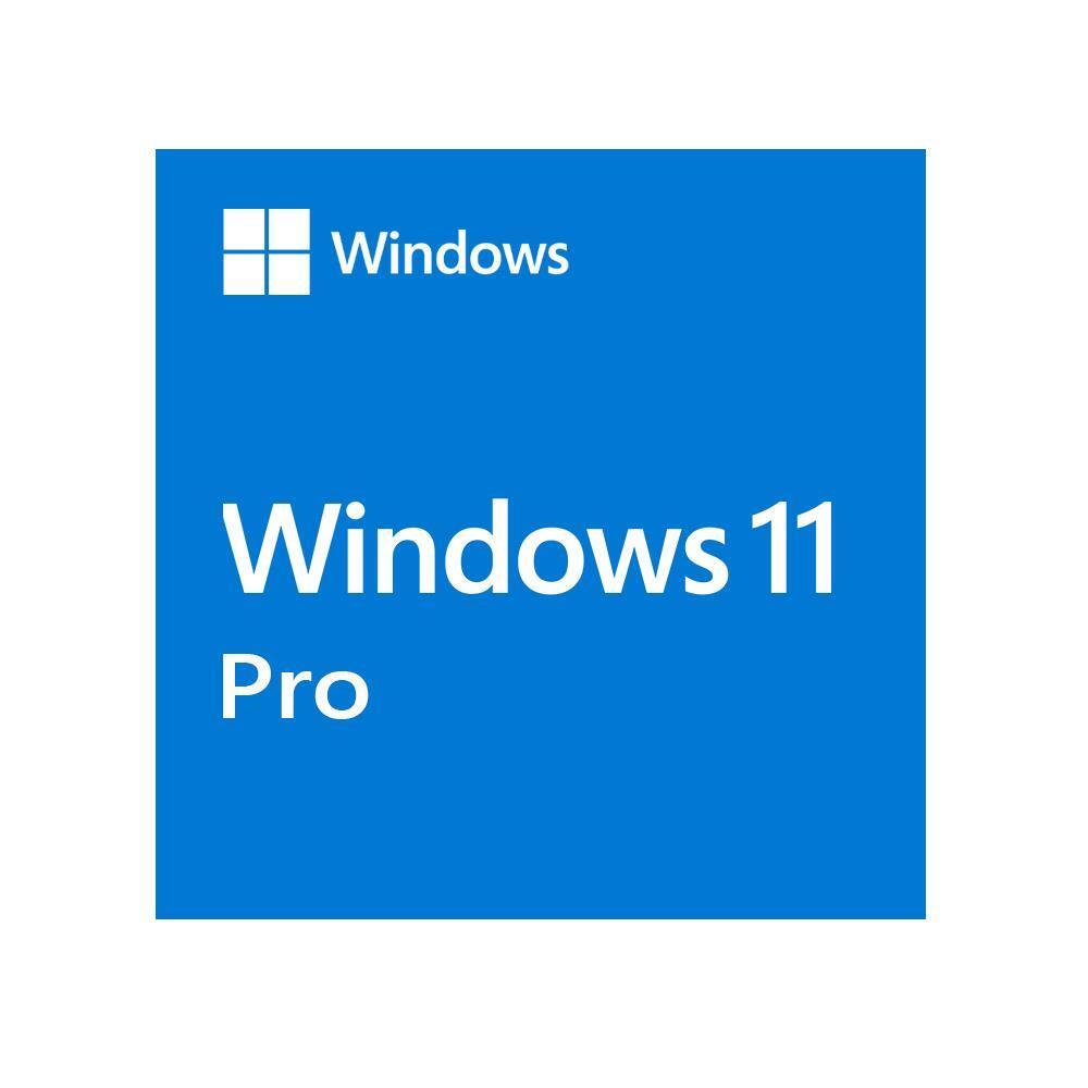 Windows 11 Pro (ESD)