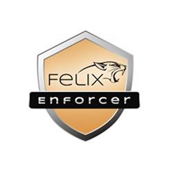Felix Enforcer Anti-Malware Security OEM 1 User,12 Month