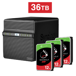 Synology DiskStation DS420j NAS + 3x Seagate Ironwolf 12TB ST12000VN0008 Drive Total 36TB