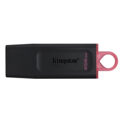 Kingston DataTraveler Exodia 256GB USB 3.2 Flash Drive