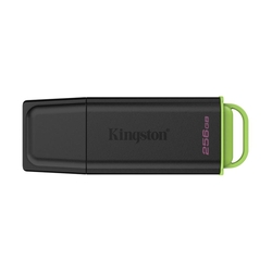 Kingston DataTraveler Exodia 256GB MB/s Flash Drive