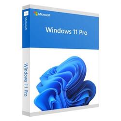 Microsoft FQC-10528 Windows 11 Professional OEM 64Bit DVD