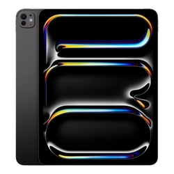 Apple iPad Pro 13" 256GB Space Black iPadOS Tablet With Standard Glass