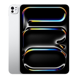 Apple iPad Pro 11" 5G 2TB Silver iPadOS Tablet With Standard Glass