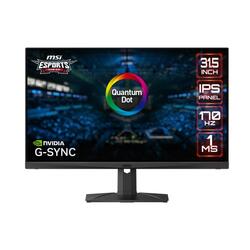 MSI MAG321QR-QD 31.5" 1440p IPS 170Hz 1ms HDR FreeSync Premium USB Type-C Gaming Monitor