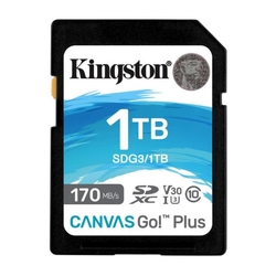 Kingston Canvas Go! Plus 1TB 170MB/s SD Memory Card